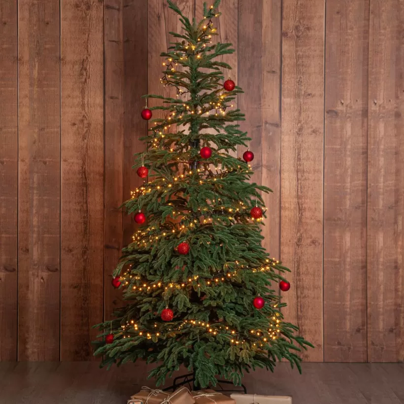 Jotex Utebelysning | Utebelysning*Julgran Edane 210cm