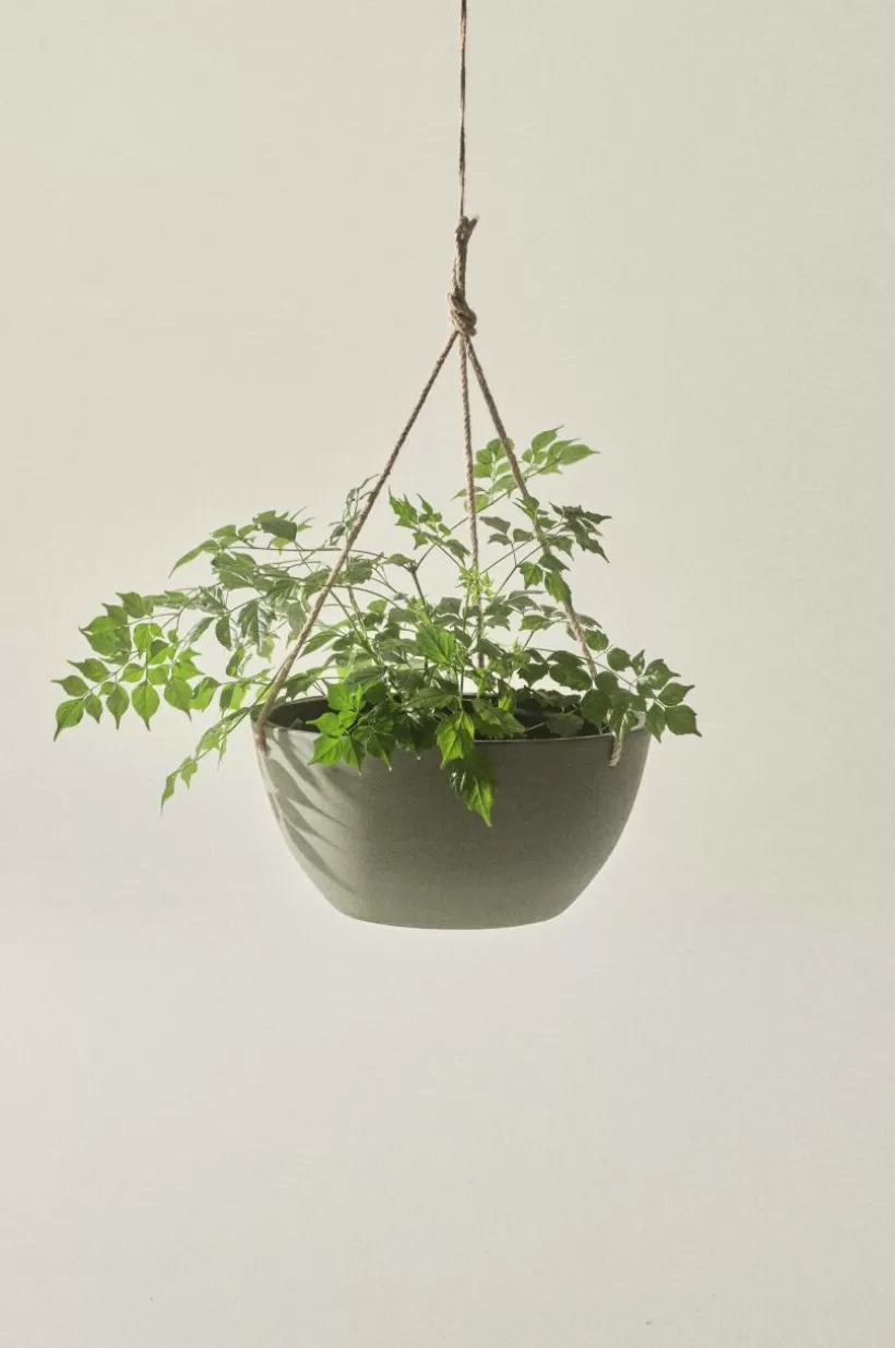 Jotex Utekrukor | Krukor*MARK Ampelkruka ø 31 Cm